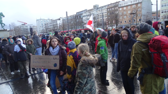 Fridays for Future Braunschweig - Protest am 29.11.2029